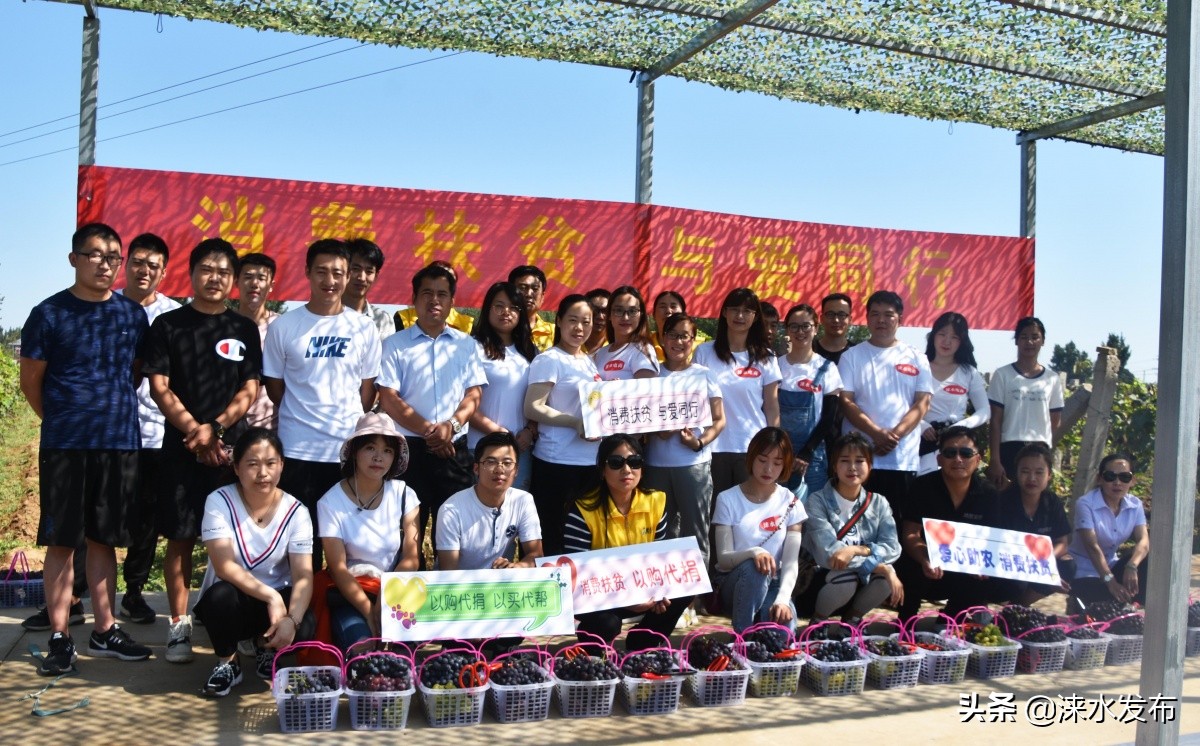 鐖卞績鍔╁啘鑻规灉鏂伴矞閲囨憳,鐖卞績浼佷笟鍔╅攢钁¤悇