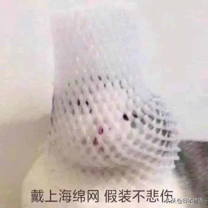 亿万女富豪征婚,千万女富豪在婚恋网上相亲