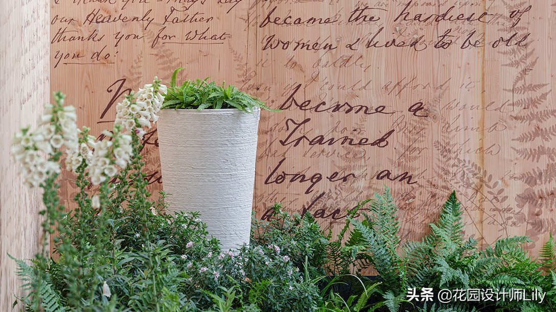 2023年切尔西花展各个花园的介绍,切尔西花展最佳花园