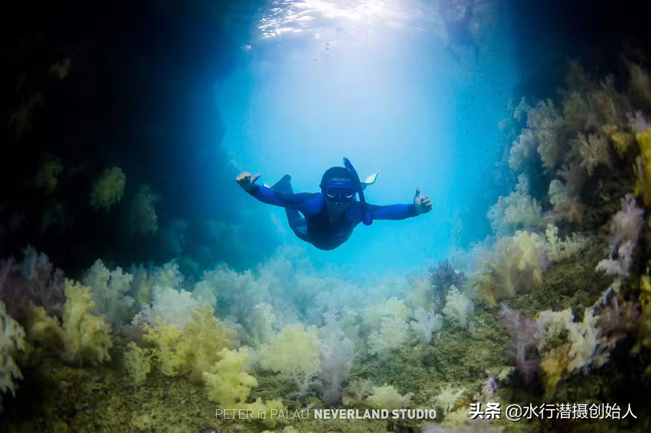 帕劳岛自由行潜水,帕劳水母湖自由潜视频