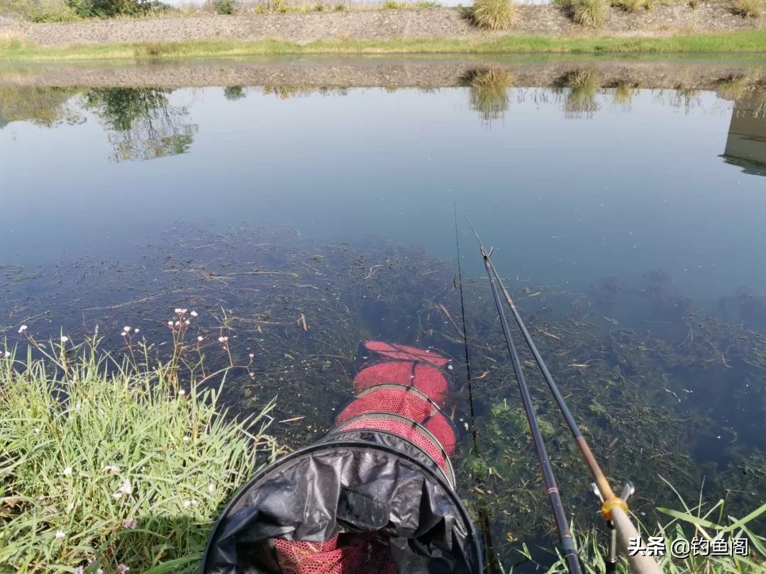 冬季钓鱼夜钓什么时间最好,初春夜钓钓鱼的最佳时间表