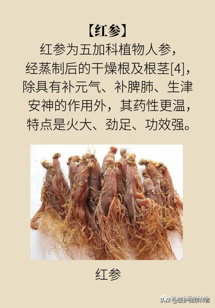 人参红参西洋参哪个提高免疫力好,人参党参红参西洋参有什么区别