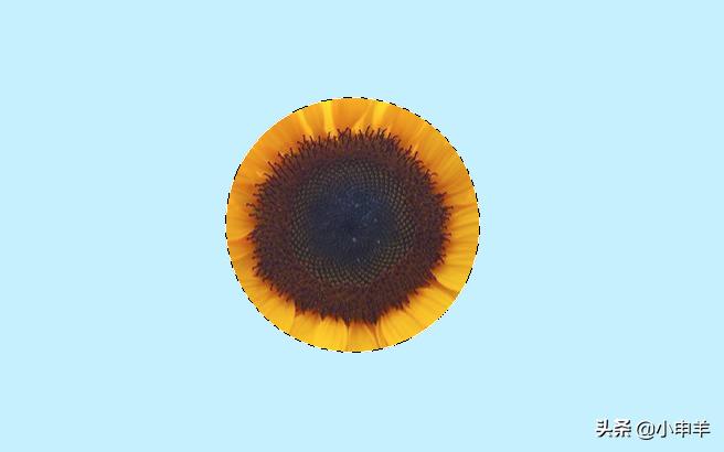 ps抠图怎么减少选区,ps里抠图用选区抠图怎么弄