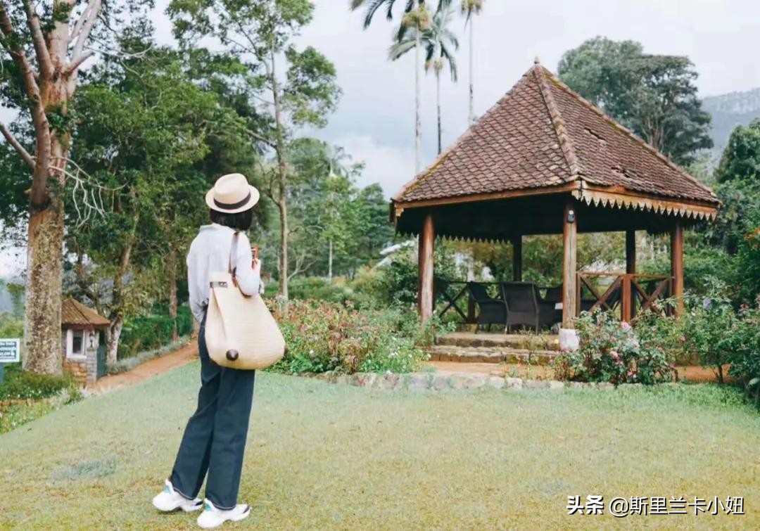 斯里兰卡带孩子游玩,斯里兰卡安缦