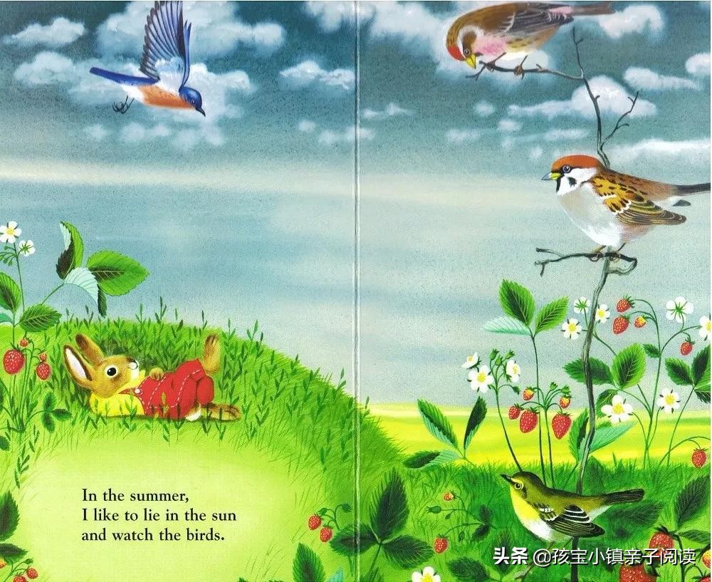 0-2岁宝宝最全英文绘本推荐（下）「吐血整理，建议收藏」