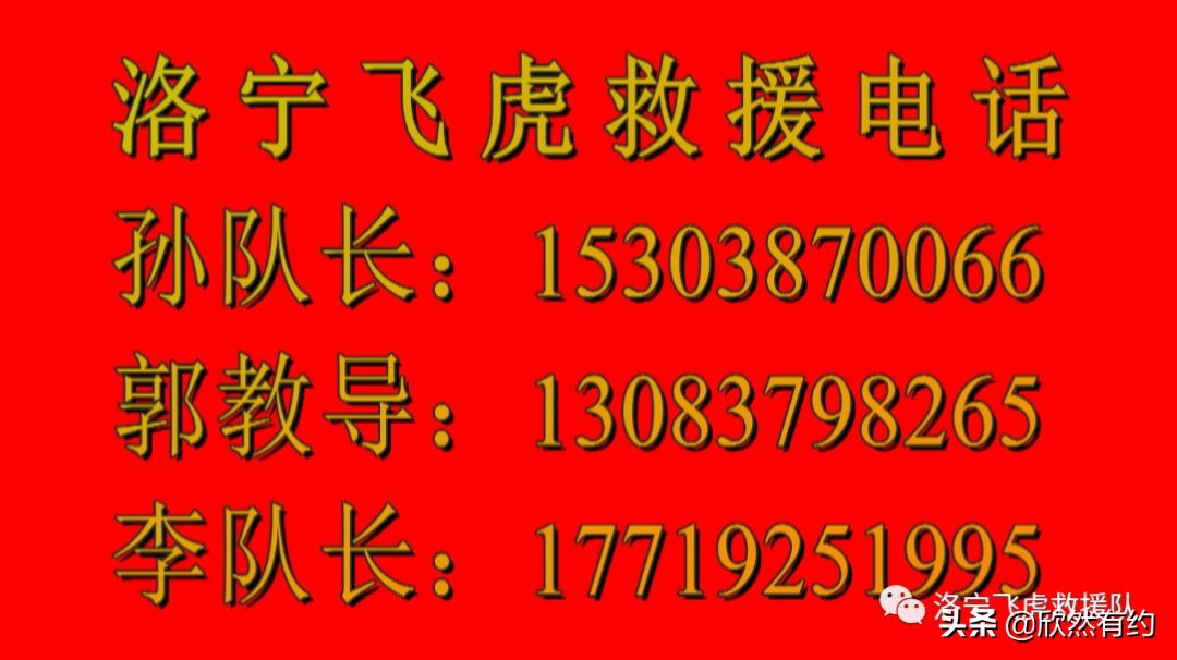 洛宁县飞虎救援队,洛阳洛宁飞虎救援队