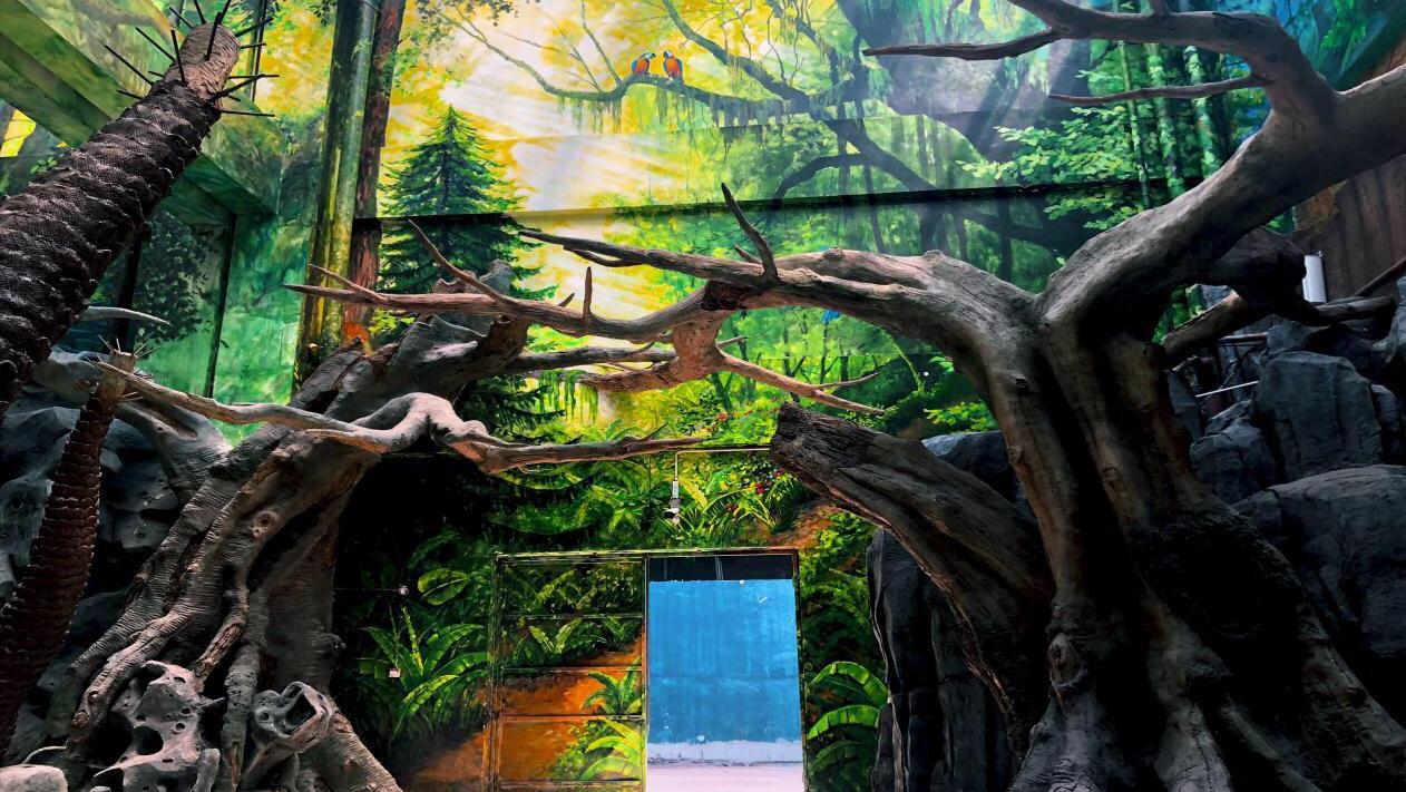 福州15万平方米的海洋世界，半小时带你打卡南北极，五一的好去处