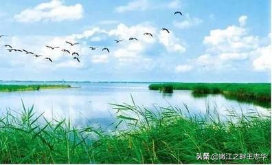 我的家在东北松花江上古诗,我的家在东北松花江上诗词