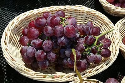 古道大字典GS007-河西古道：鹿王本生敦煌壁，灵兽见容异域天