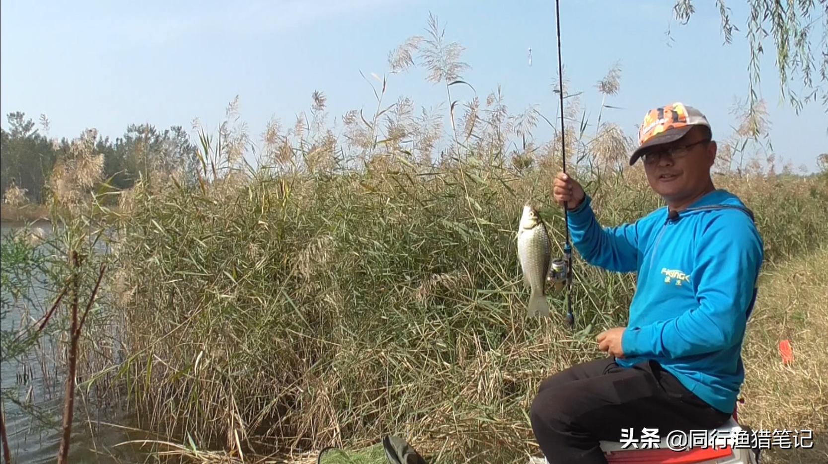 钓鲫鱼多长的子线合适,春季钓鲫鱼子线用长还是短子线