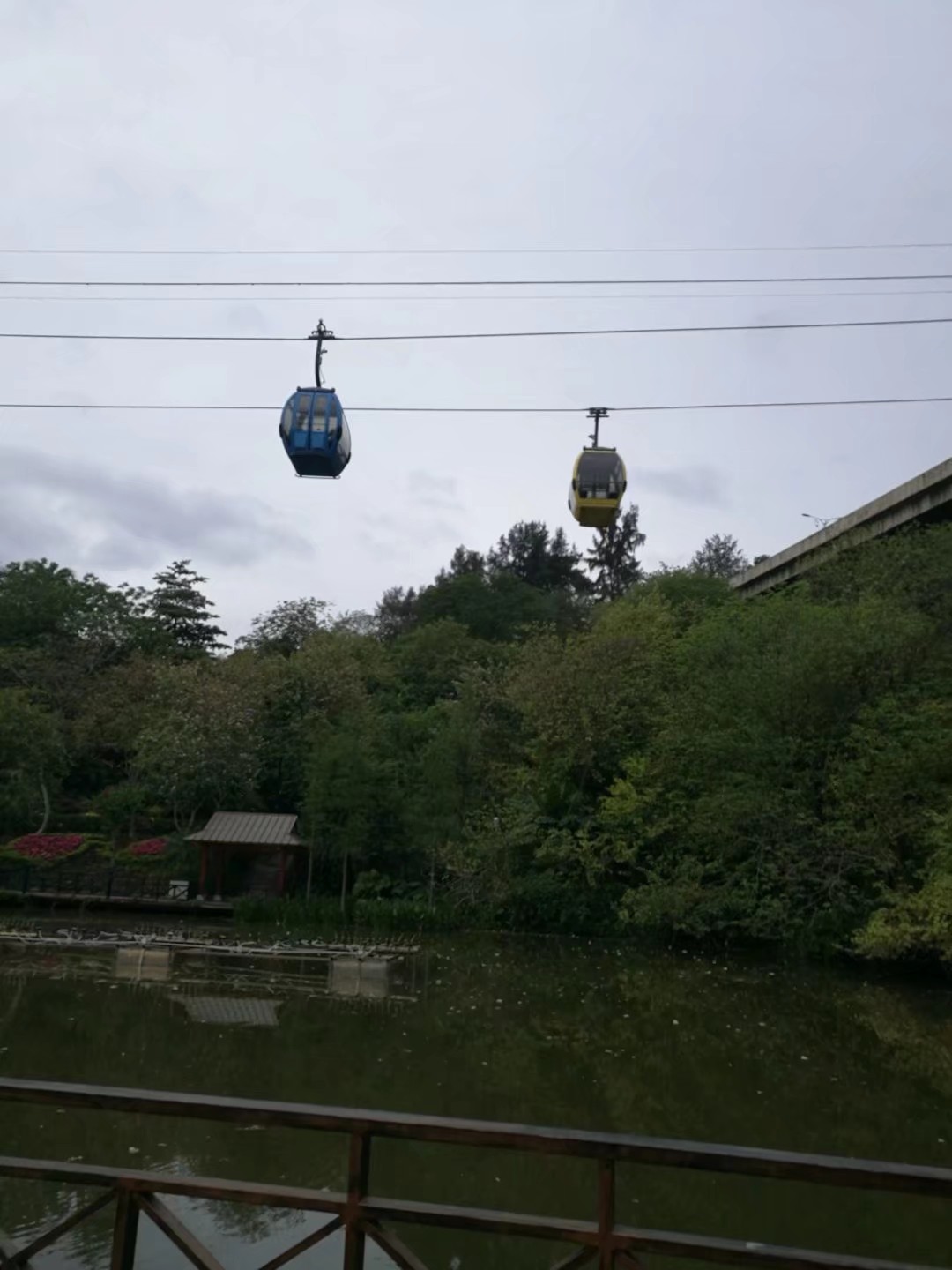 广州白云山游记作文,难忘的旅行广州白云山