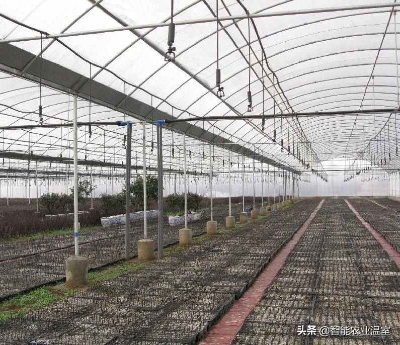 温室大棚覆盖材料有哪些,温室大棚优缺点分析