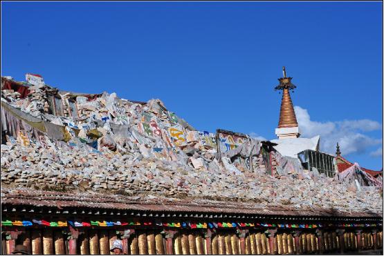 青海是著名的旅游圣地,青海这么美你会去看吗