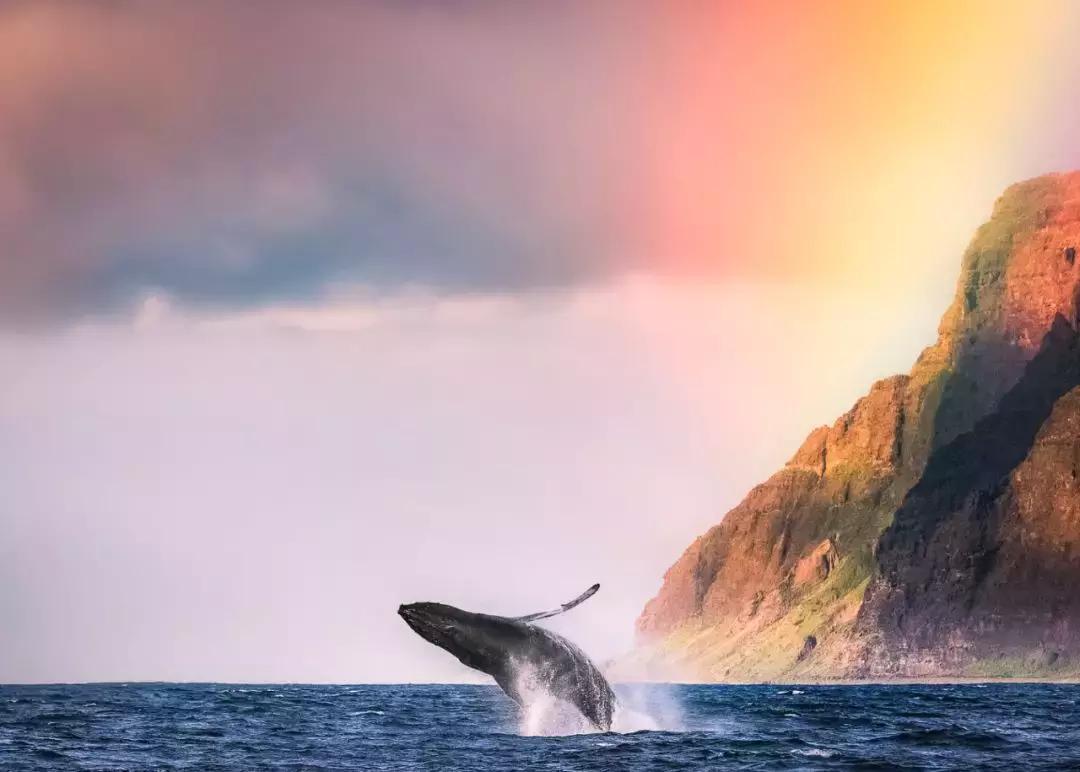 在吸引村上春树买房养老的海岛呆3天，马代帕劳在我心里降到第二