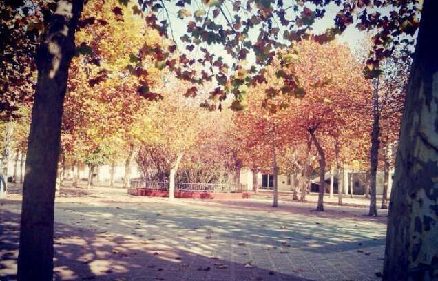 河南省这所高中厉害了，喜获文理状元，2020高考迎来大丰收