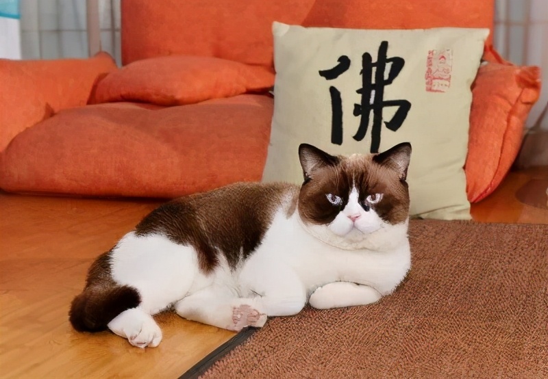 结节有钙化是危险信号吗,结节发生了钙化是怎么回事