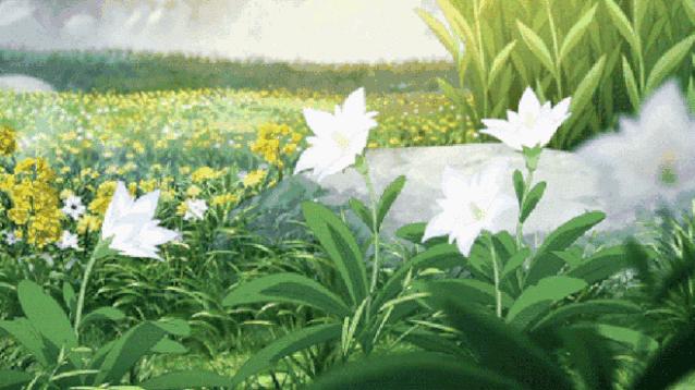 森林大地味道的清新淡香水推荐,清新一点的柚子柑橘类的香水