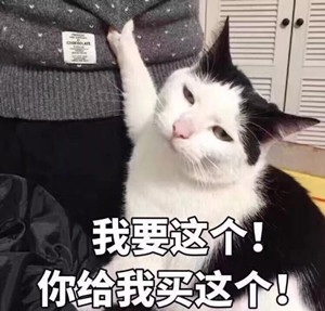 澳洲留学最容易犯的错误,澳洲留学奇葩问题