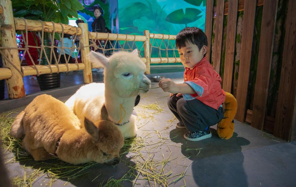 bobozoo室内动物园,bobozoo室内动物园有河马吗