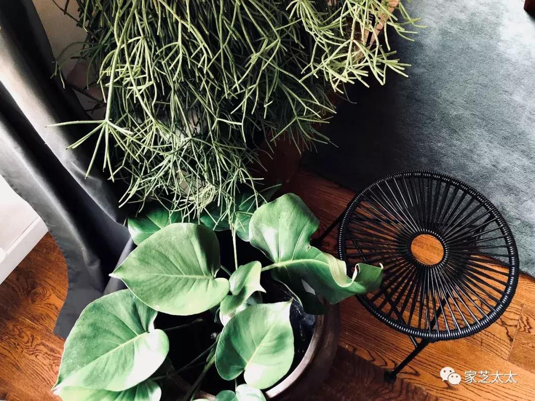 国外租房还能这么玩？6天5晚意大利老房改造实录