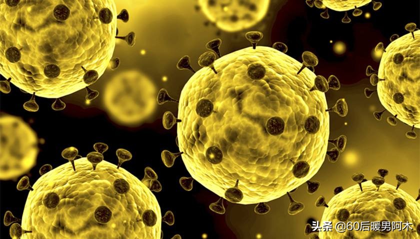 庚子年疫情思考,庚子年抗击疫情的感想