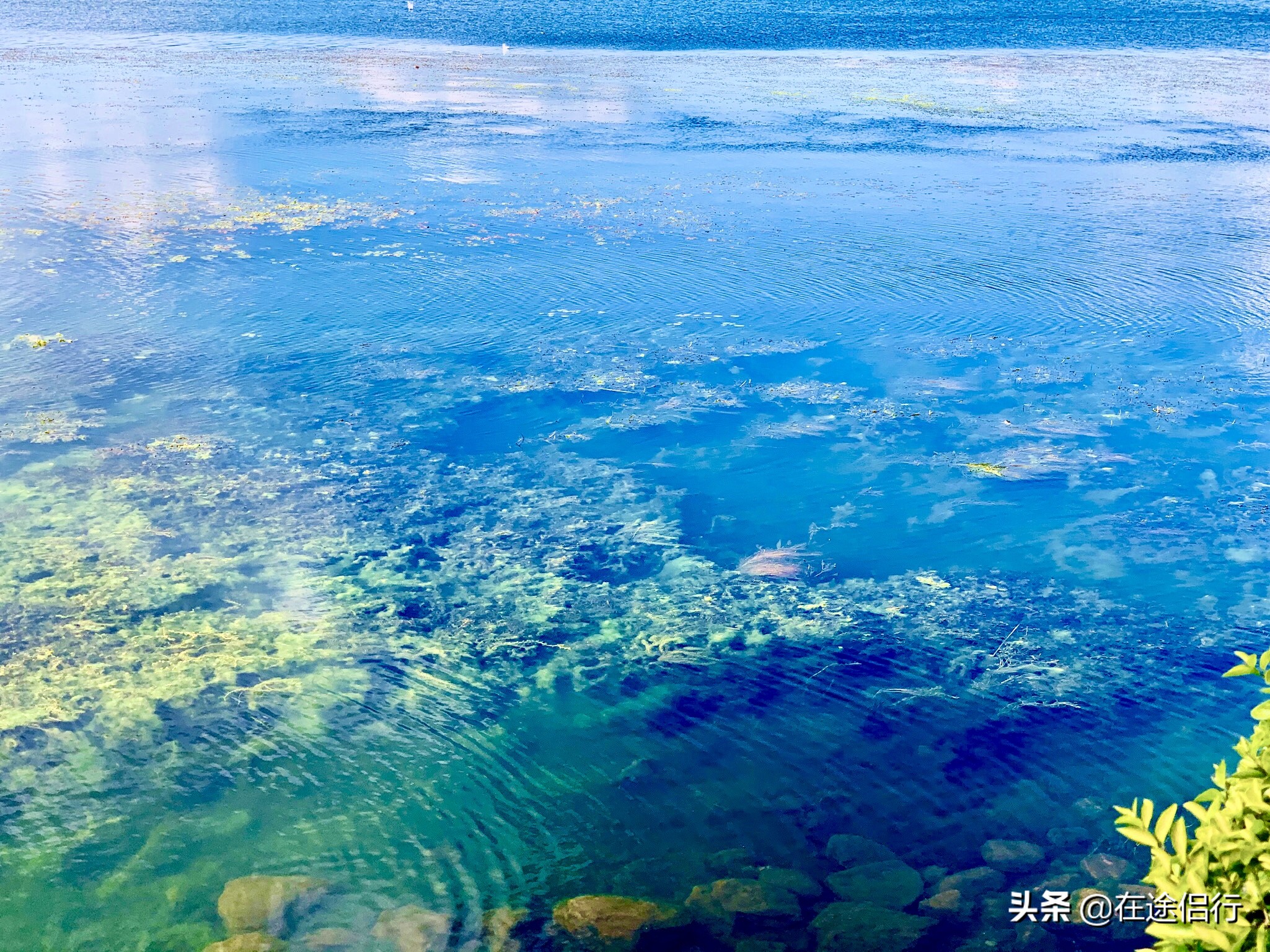 大理洱海恢复了吗,2019年洱海整治好了吗