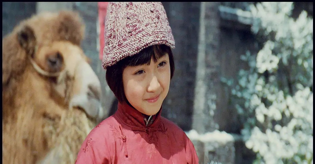 沈洁城南旧事张丰毅,张丰毅沈洁精彩片段