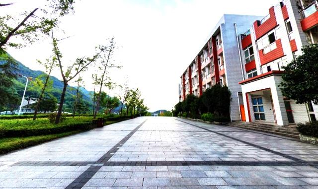 四川外国语大学位置在哪里,四川外国语大学为什么在重庆