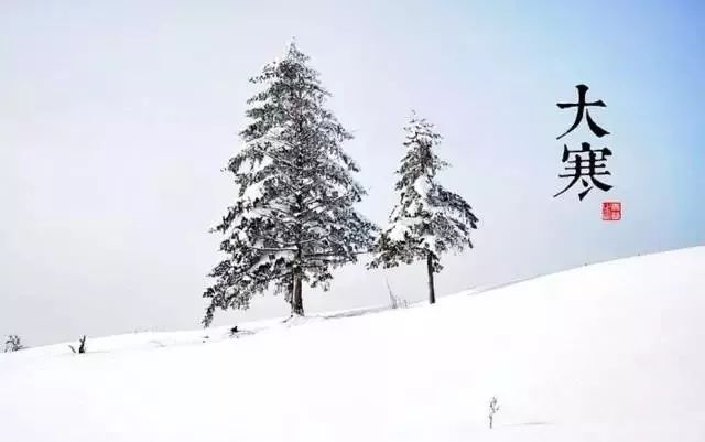 24节气适合喝什么茶,一年最热的节气宜喝什么茶