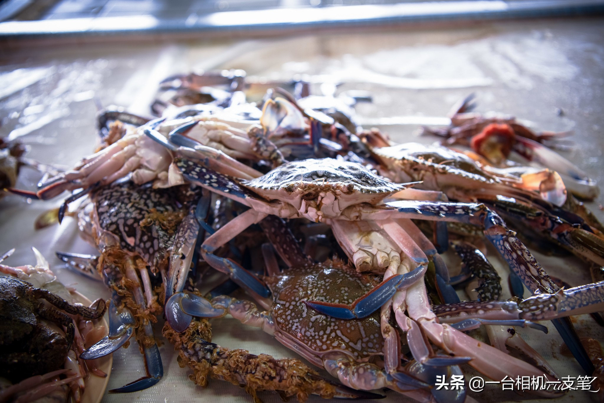 马来西亚小众海岛,马来西亚适合隐居的海岛