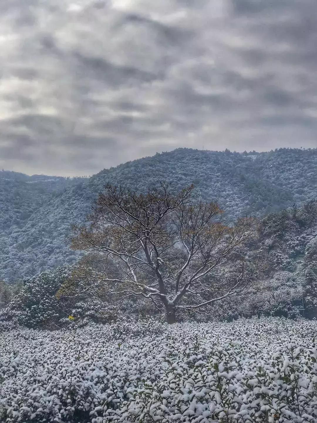 不一样的生活高新区,高新区有什么特点