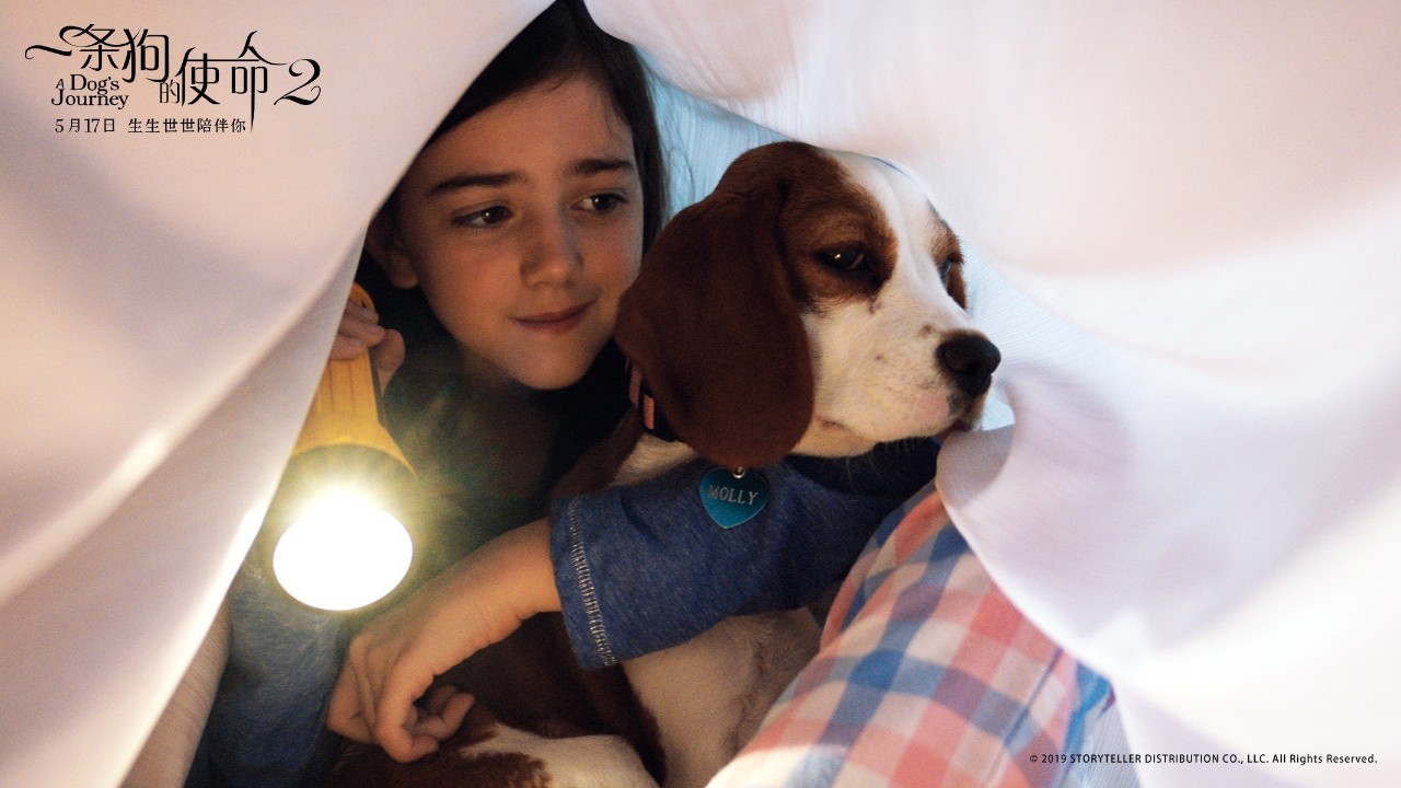 刘宪华电影一条狗的使命初吻视频,刘宪华在一条狗的使命里说的中文