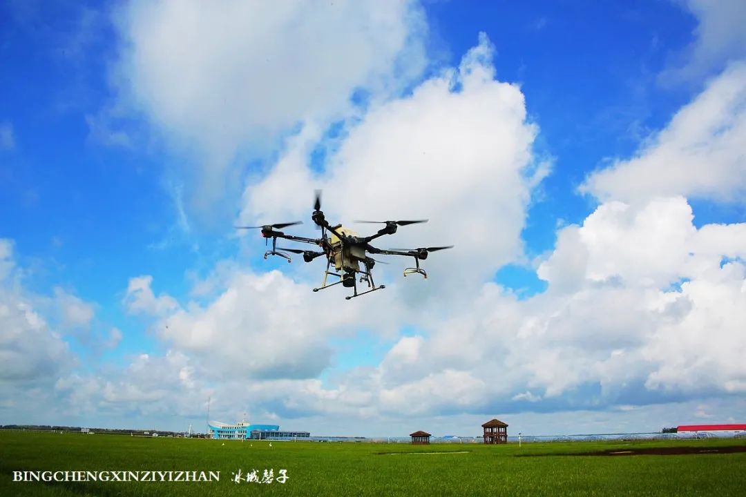 再返富锦，为着那份飘着稻花香的“湿”意约定