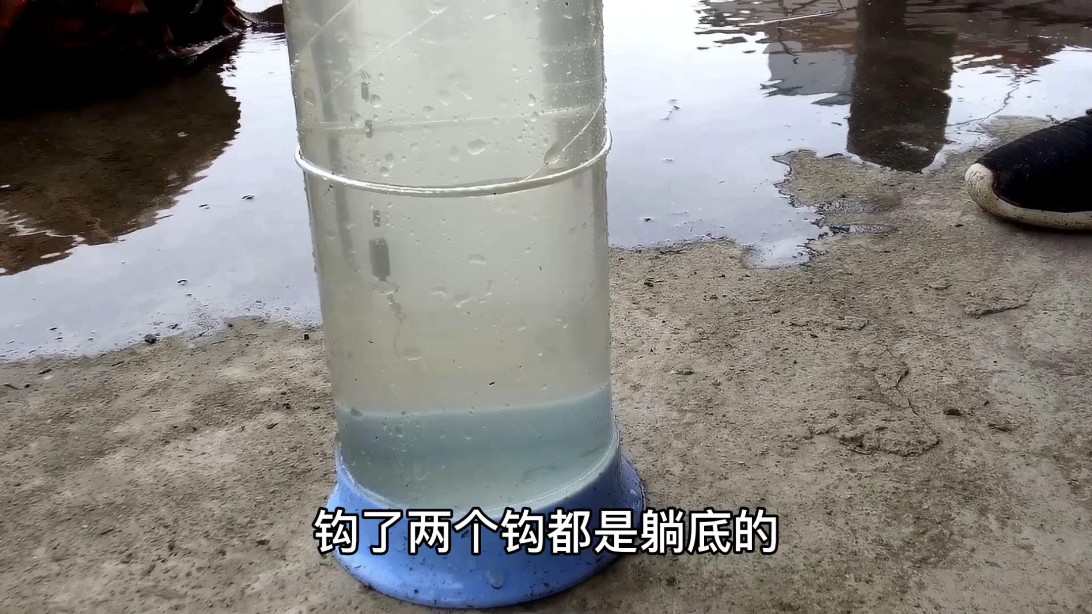 双钩调平水目数和饵料的变化,浮漂空钩调平水钓二目视频