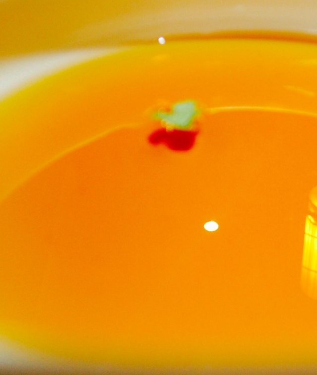 沙棘油功效与作用好处,沙棘油的功效与作用的说明书