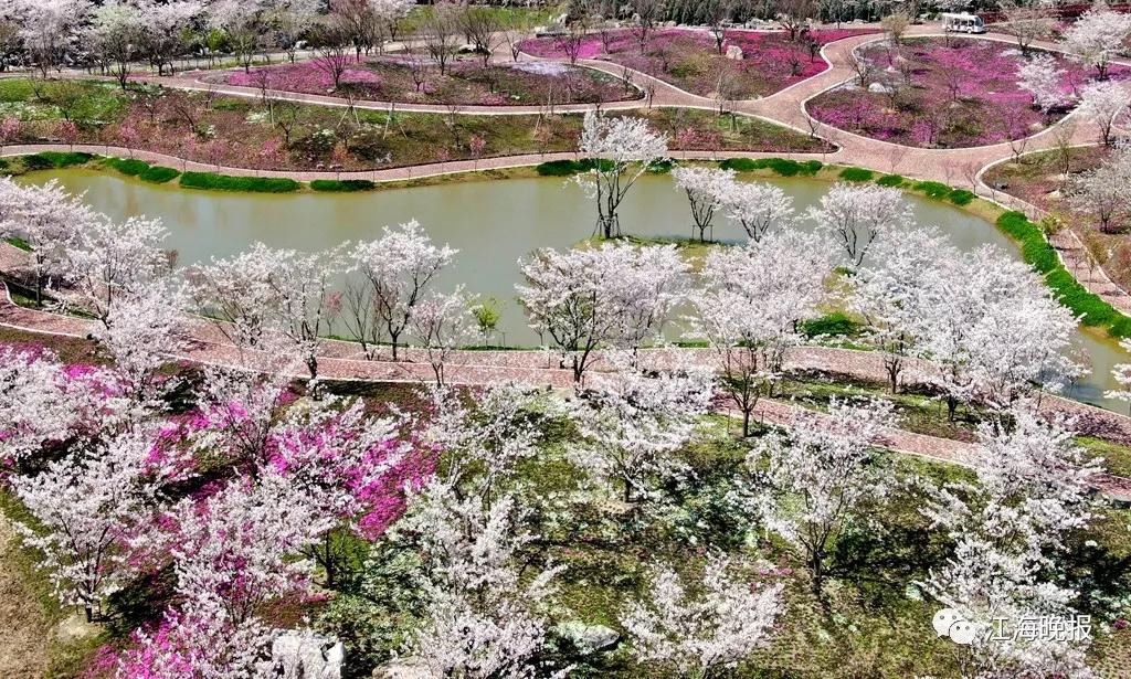南通已经入春了吗,今年南通什么时候入春