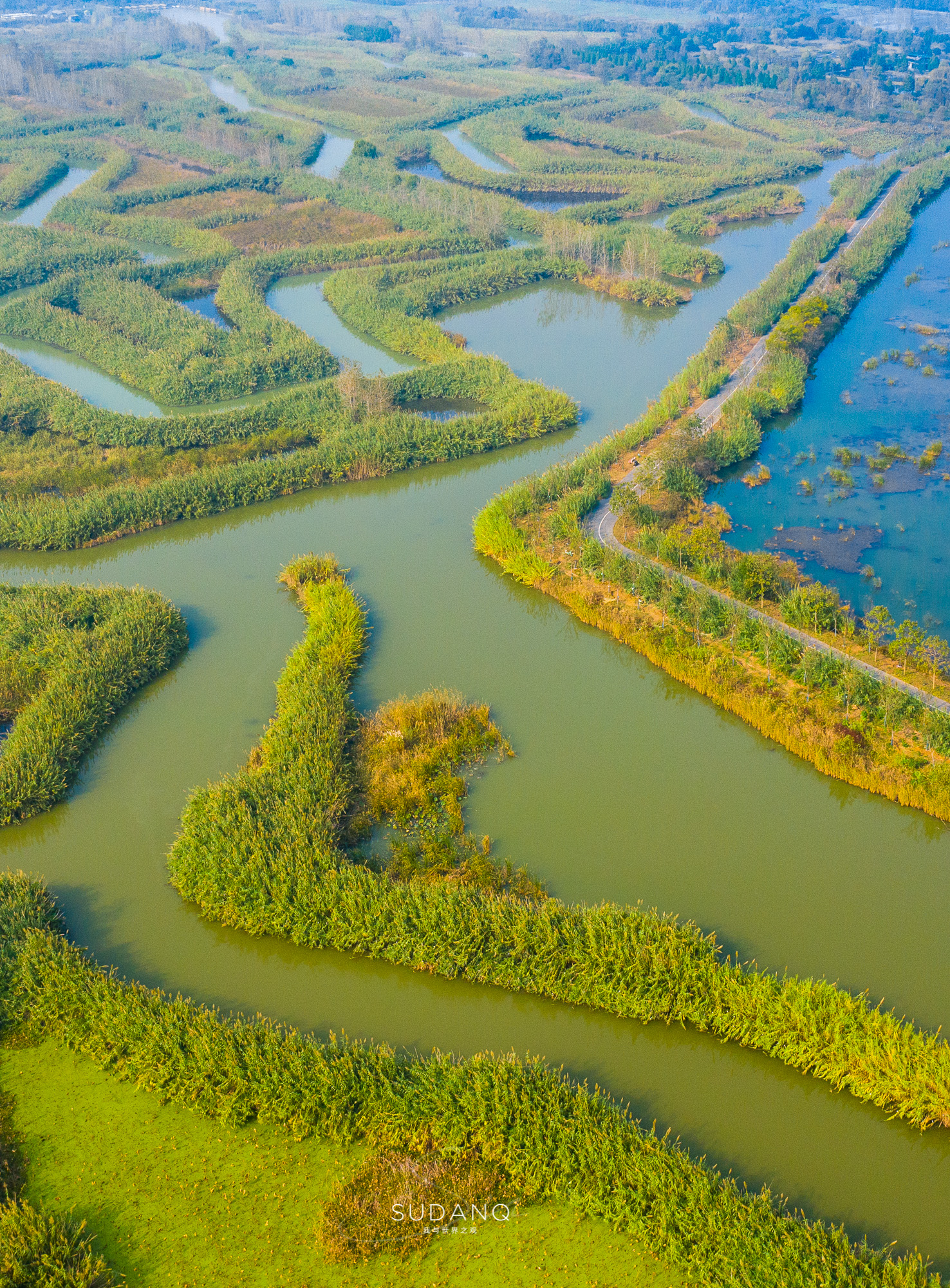 江苏泗洪的风景,江苏的苏南和苏北有什么区别
