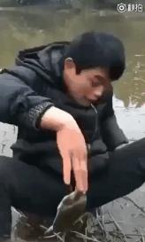 女星拔手指倒刺,女明星因拔倒刺住院