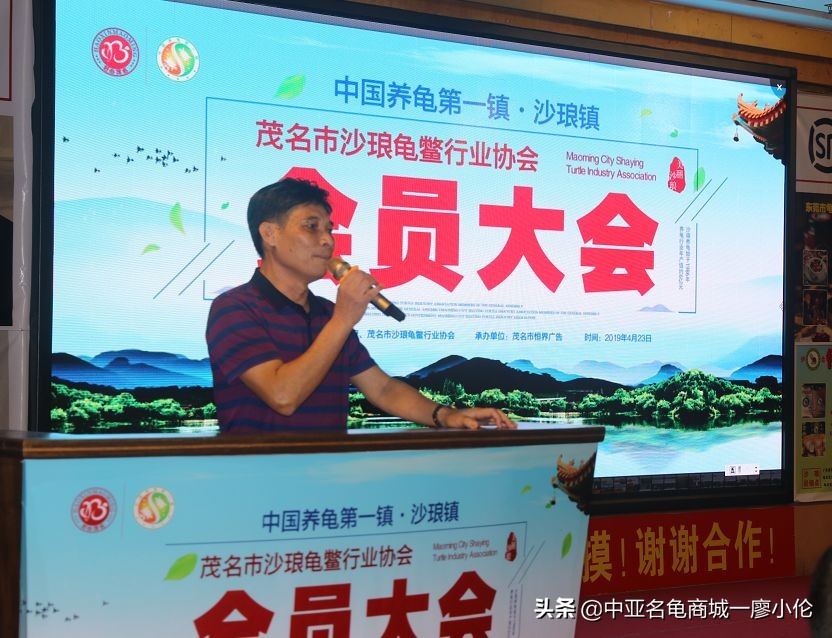 沙琅龟协会,沙琅乌龟协会