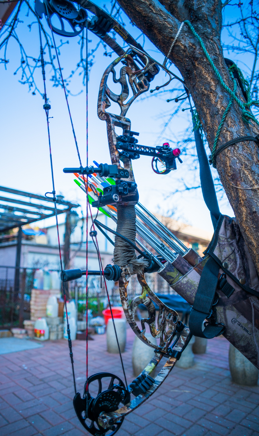 国产复合弓新手推荐,测试复合弓威力到底有多大