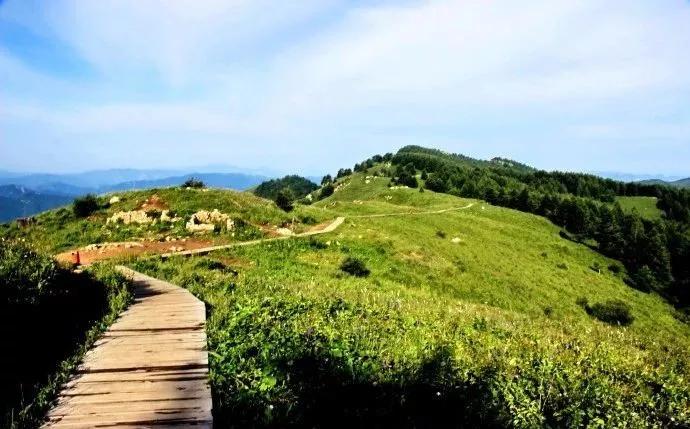 吃在驼梁，体验舌尖上的味道/郝贵云