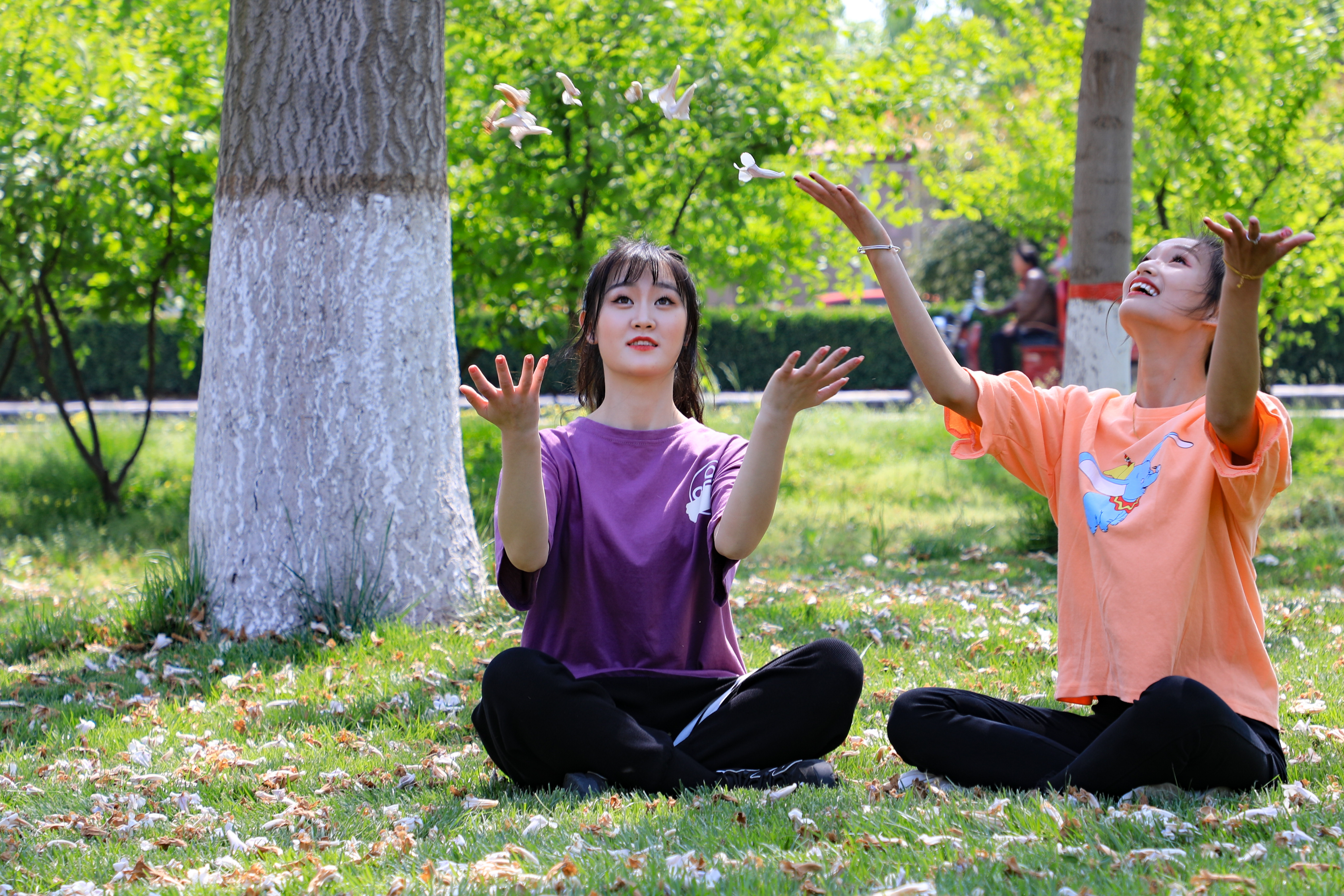 兰考新貌摄影集,兰考摄影团队