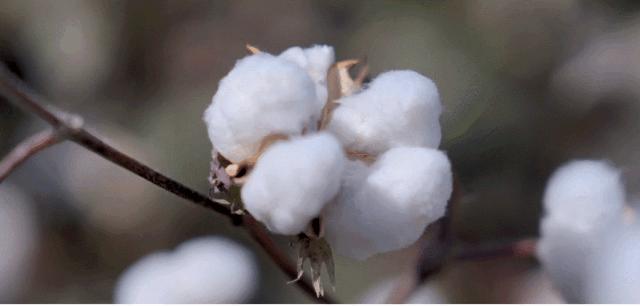 要用就用好产品,要用就用高品质产品