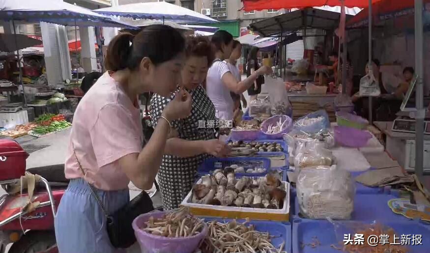 野生毒蘑菇销毁,野生蘑菇当地市场监管部门销毁