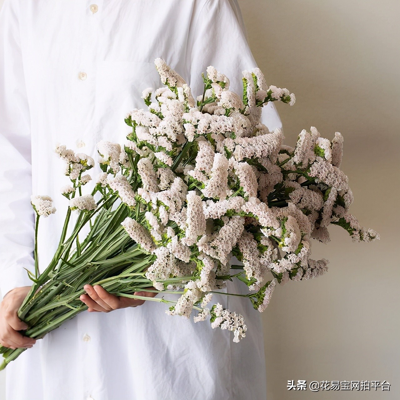 鲜花批发都有什么渠道,一般鲜花批发的都在哪个平台