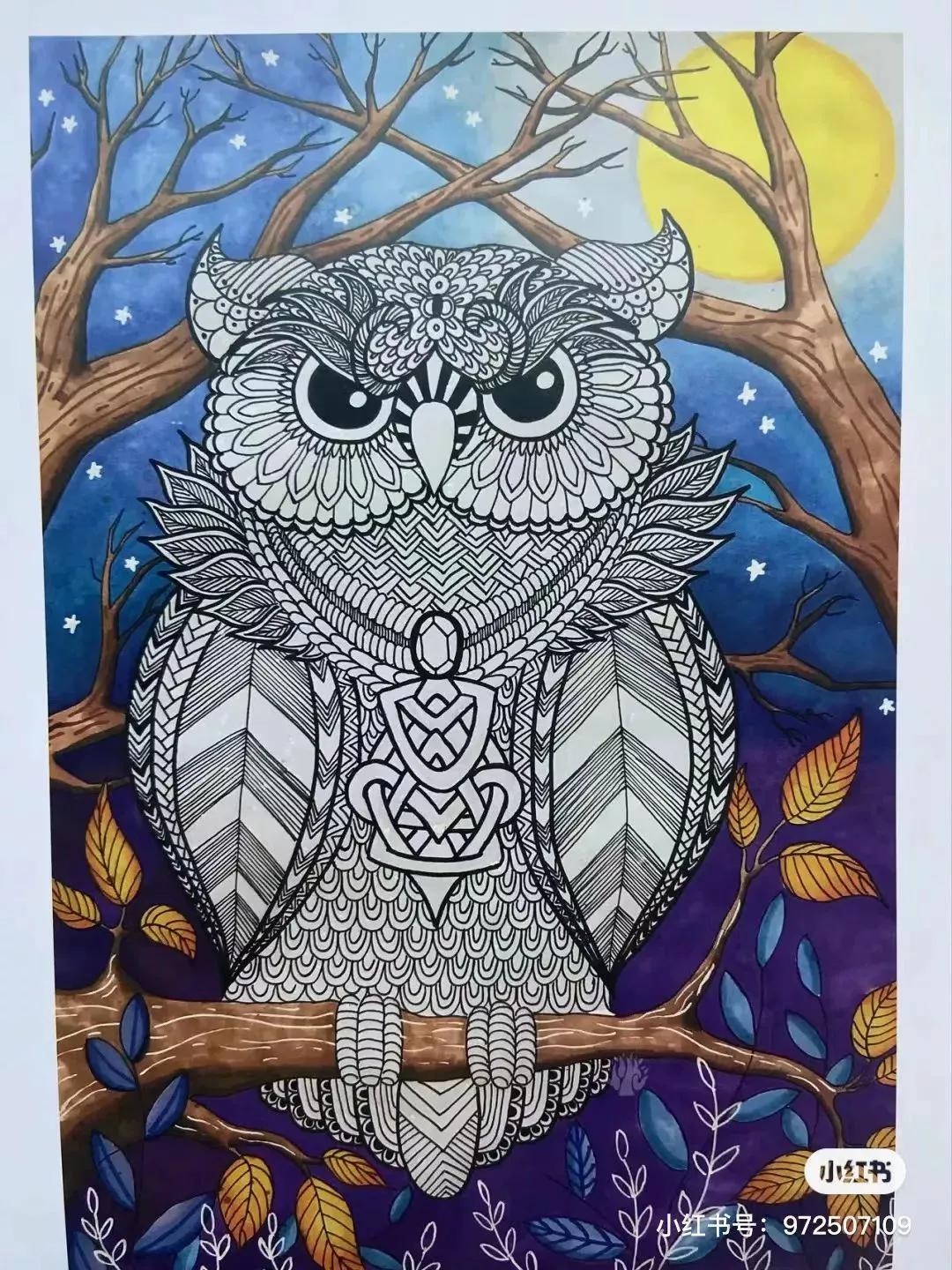 线描绘画大师绘画图片,国外线描花卉素材图片