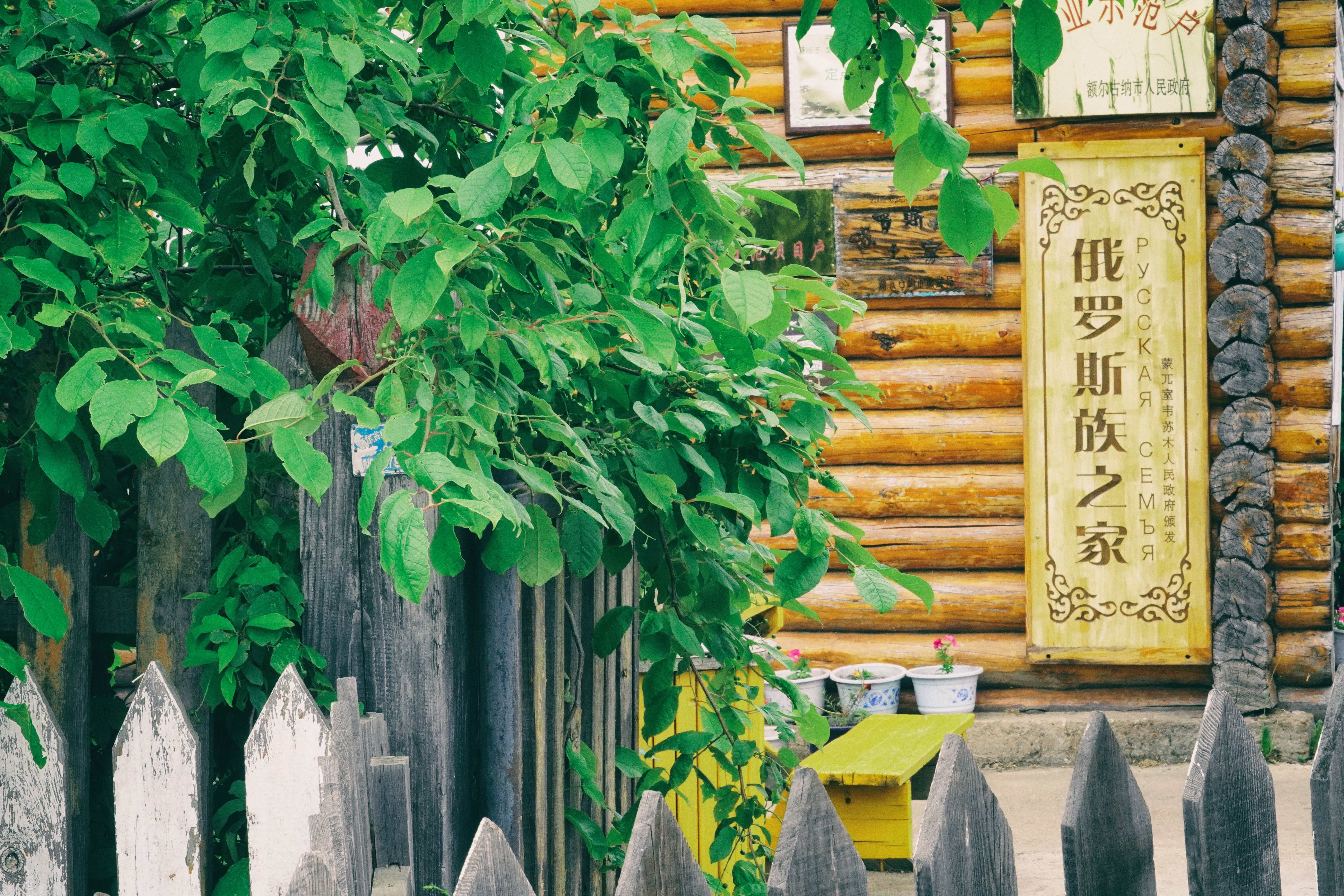 东北游记攻略,东北游记最新视频