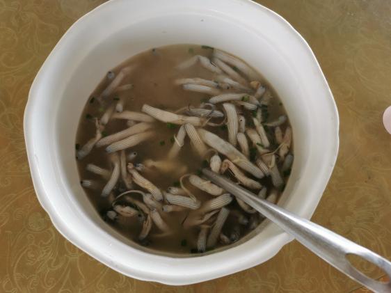 廉江龙营钓鱼视频,湛江市遂溪草潭码头钓鱼视频