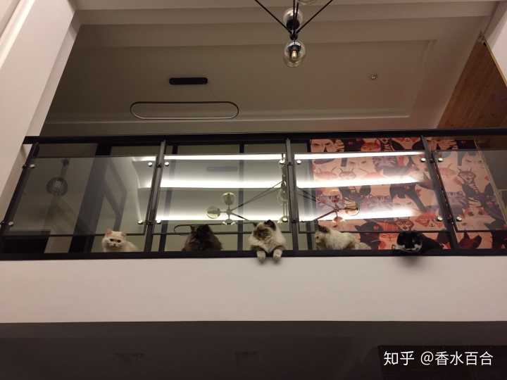 买了高层的人怎么样了,买了顶楼的房子后悔了吗