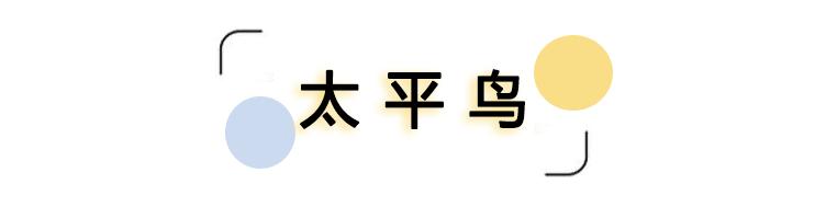 国产休闲服装品牌有哪些,有哪些好看又好穿的国产时装